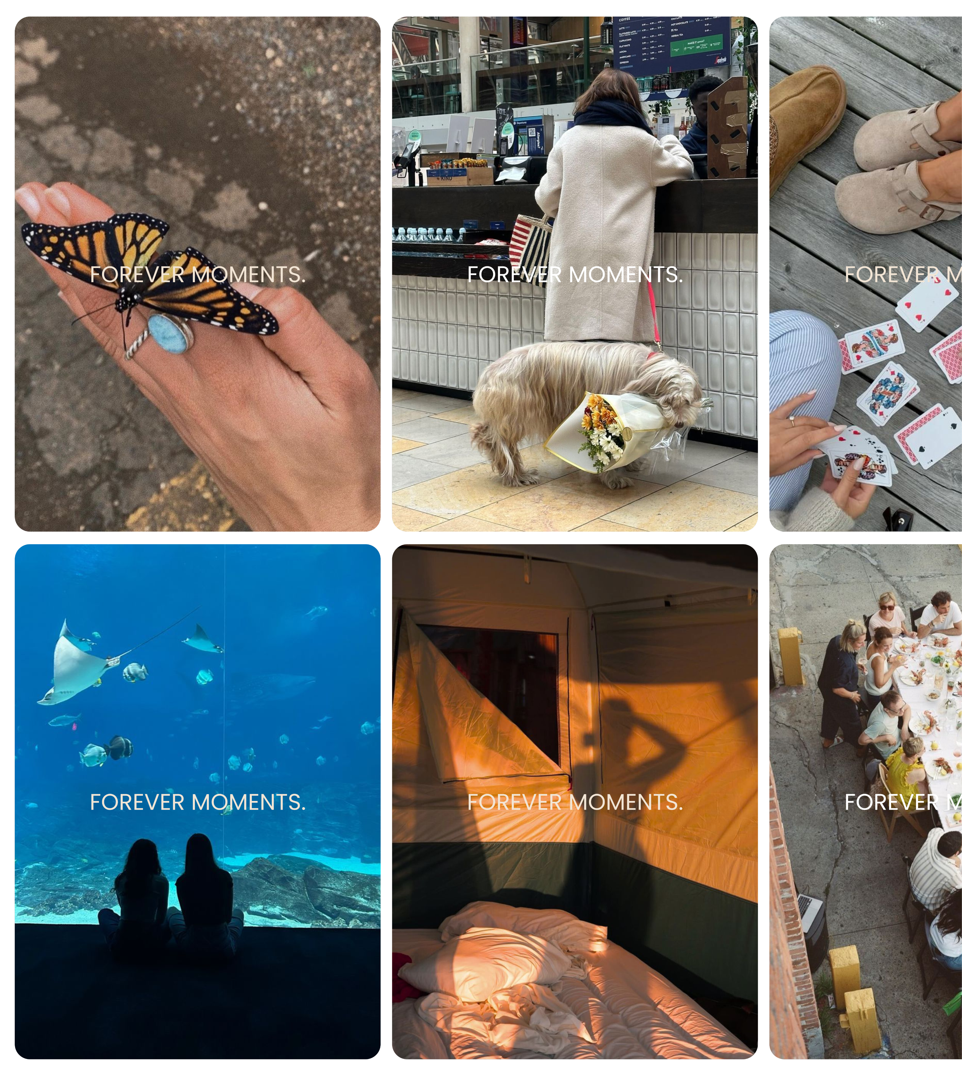Portrait of the blog owner with face partially distorted through two clear glasses of water on a white table